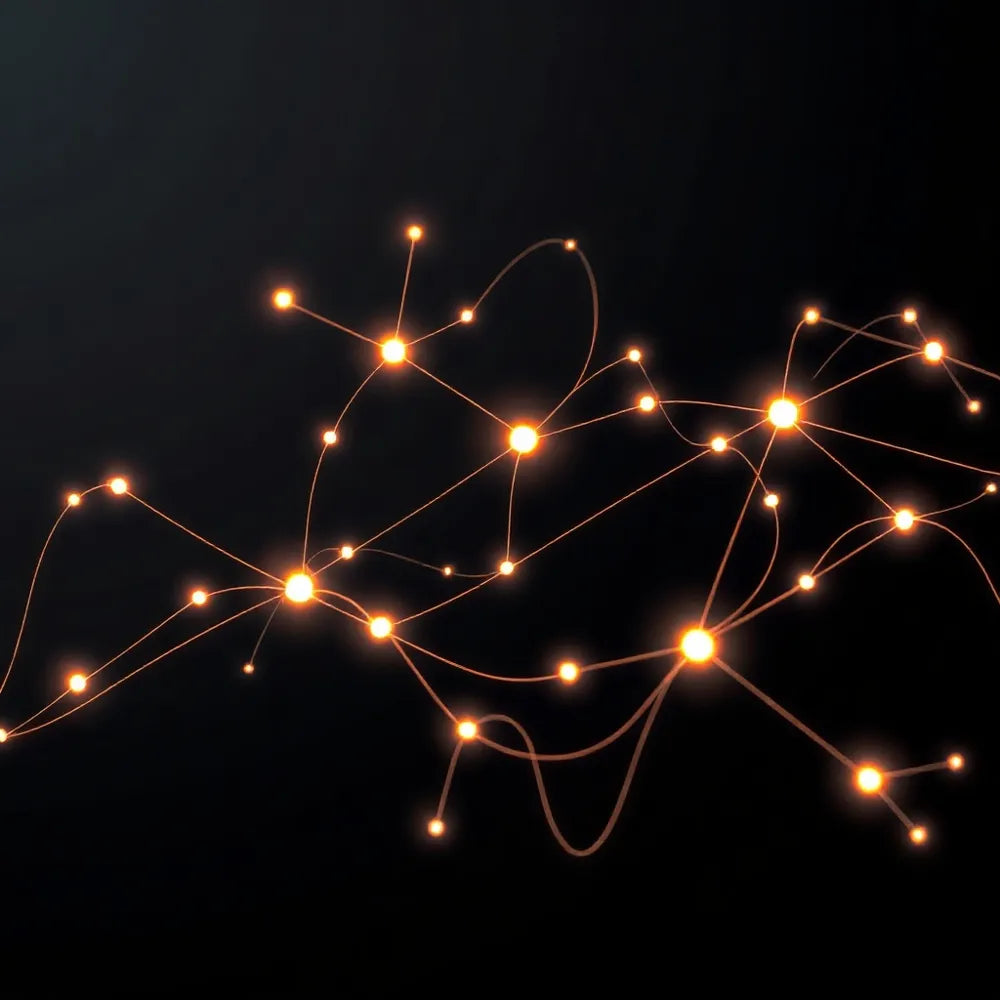 Alt text for the image