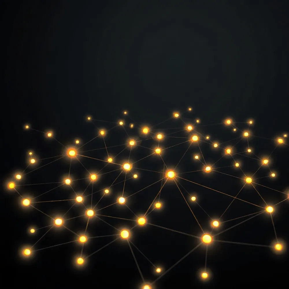 Alt text for the image
