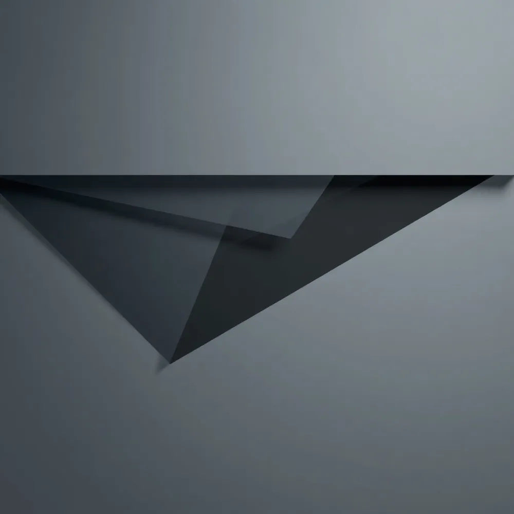 Alt text for the image