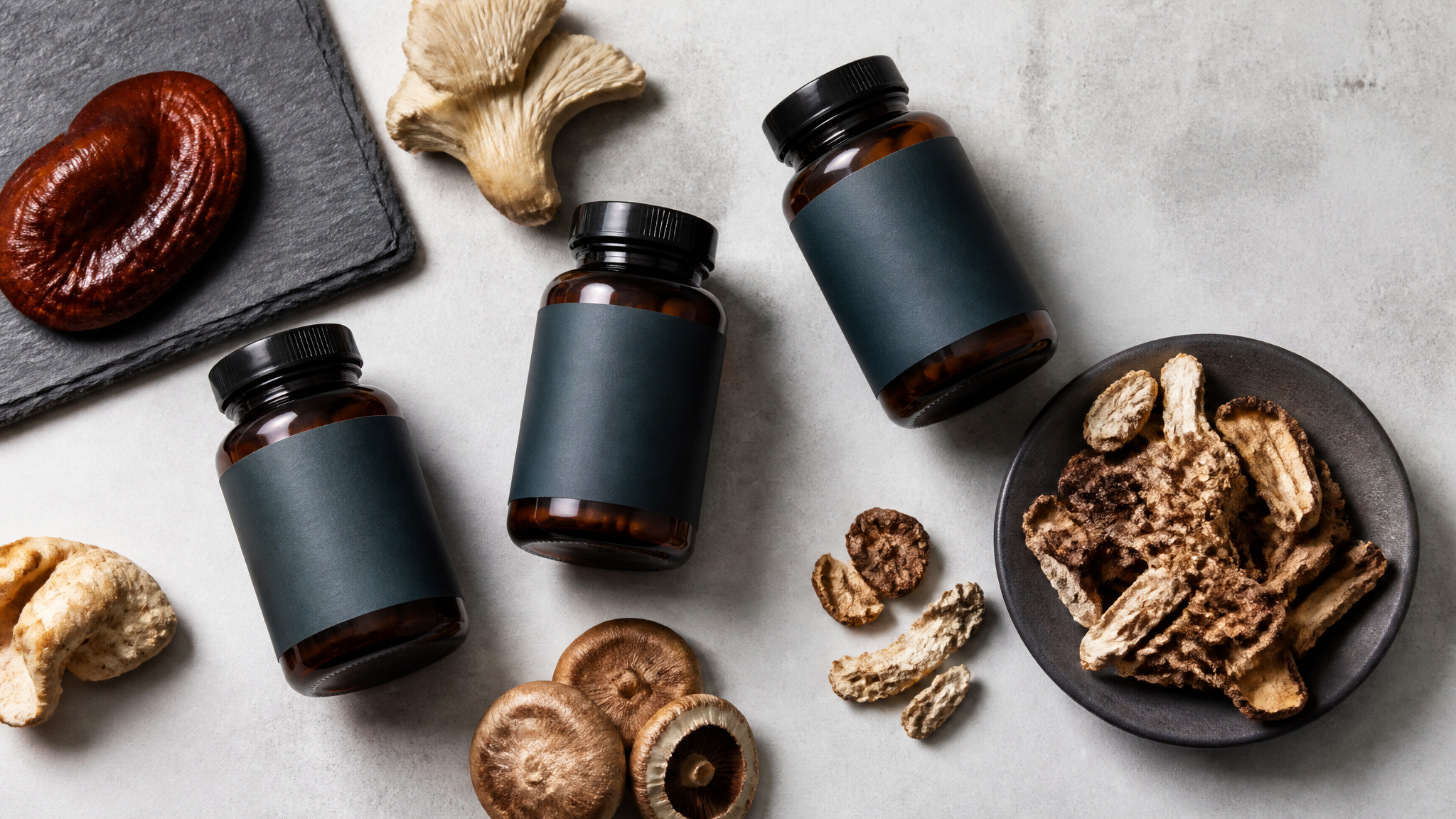 Best Mushroom Extract Brands and Bulk Suppliers for 2026