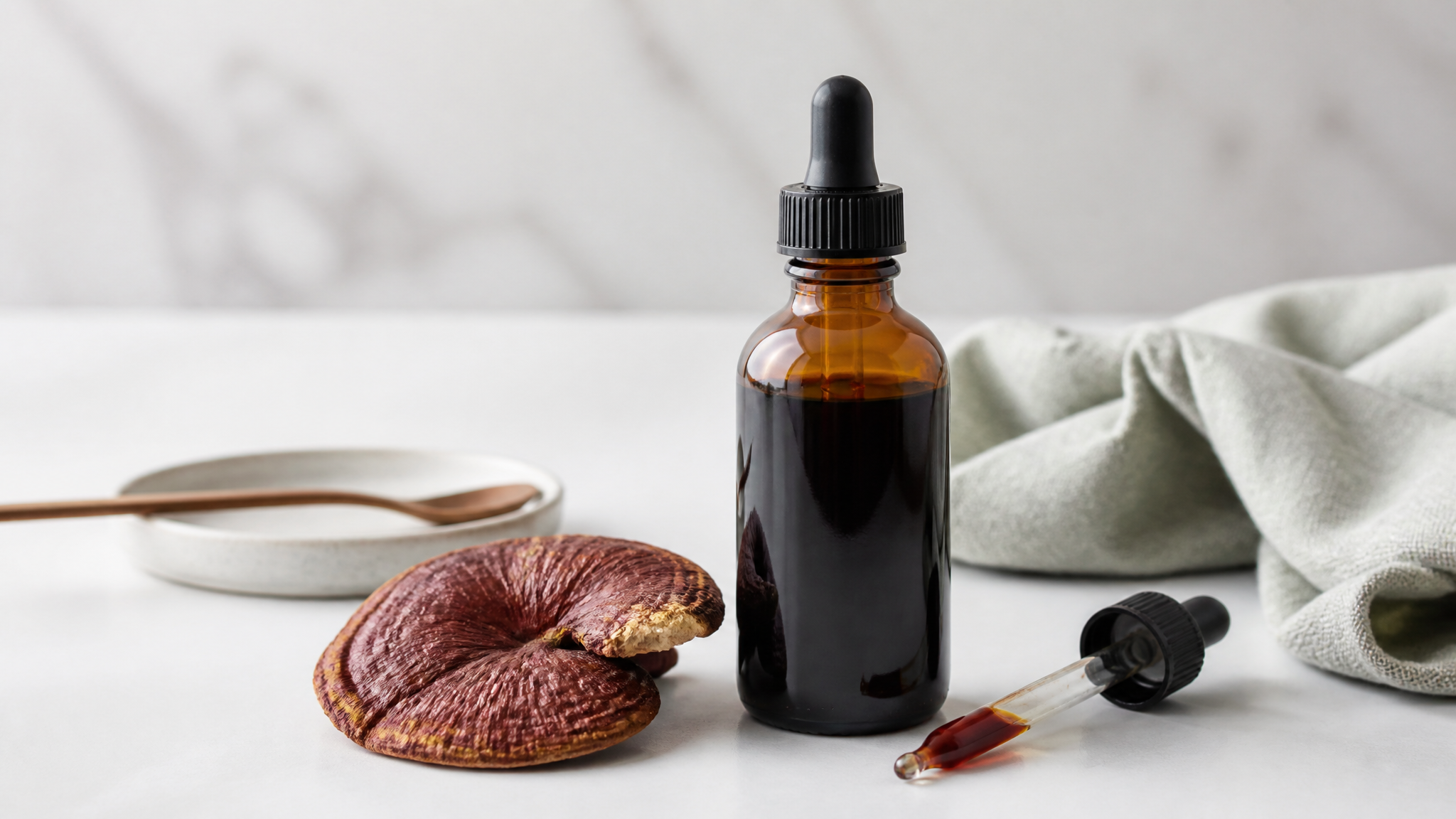Mushroom Extracts Explained: What Science Says About Benefits and Risks