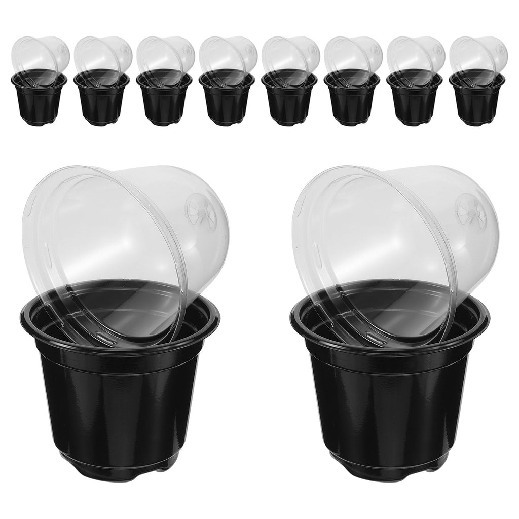Plastic seed raising cups with clear domed lids, black bases—10-pack