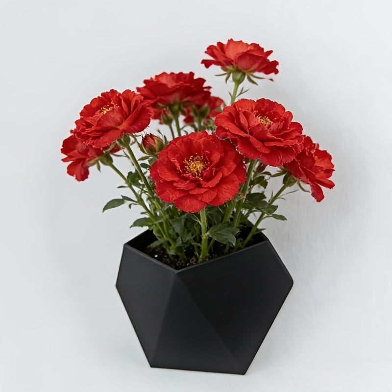Black hexagonal wall planter with mounting holes, holding red flowers