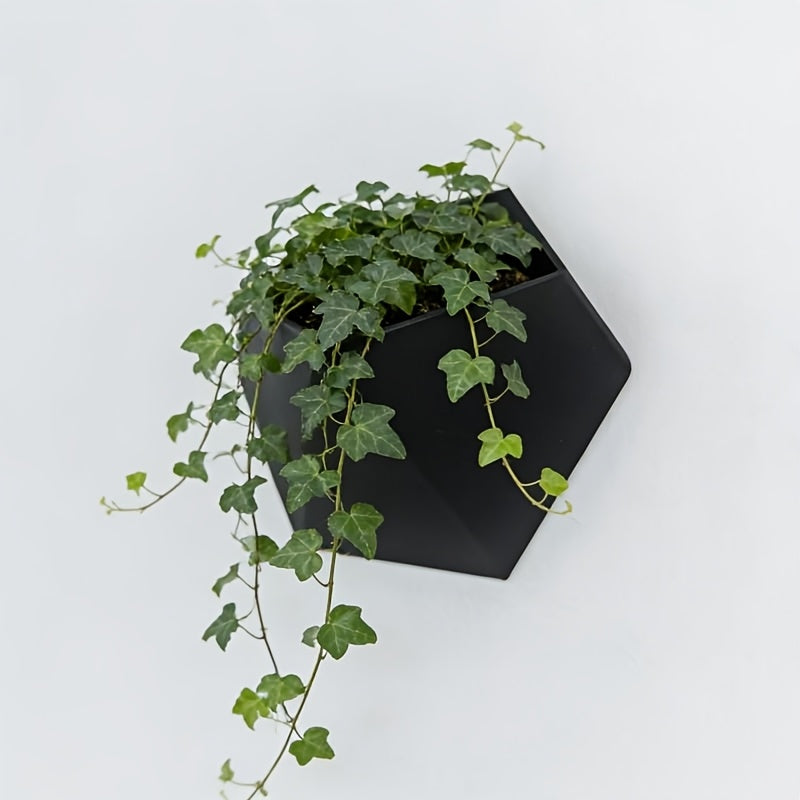 Black hexagonal wall planter with mounting holes, holding a hanging green ivy plant