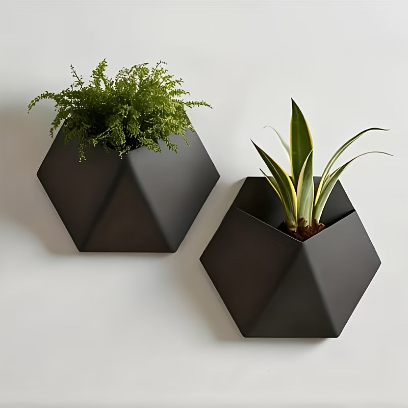 Black hexagonal wall planters with mounting holes, one with leafy plant, one with long leaves