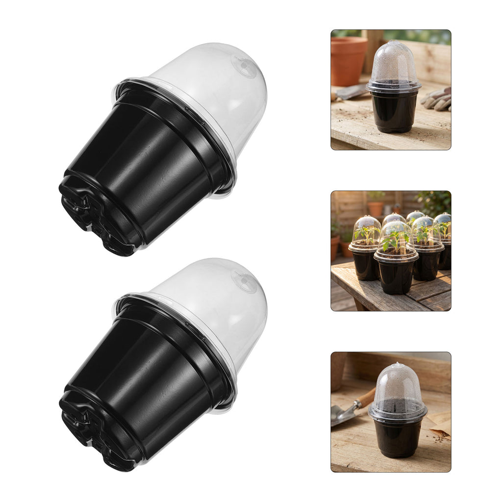 Two black seed raising cups with clear dome lids