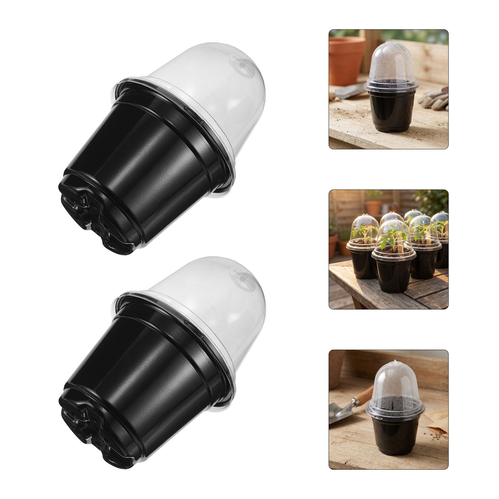 Two black seed raising cups with clear dome lids
