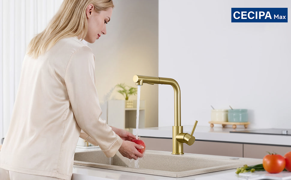 Kitchen faucet with pull-out shower, 2 jets, 360° swiveling pull-out shower, brushed kitchen mixer