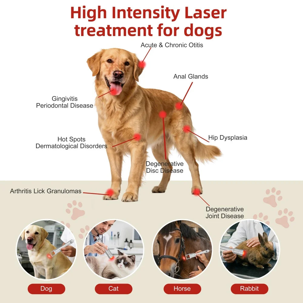 15W Laser Physiotherapy Device for Targeted Pain Relief | Tidesmit Relaxation Treatment Tidesmit