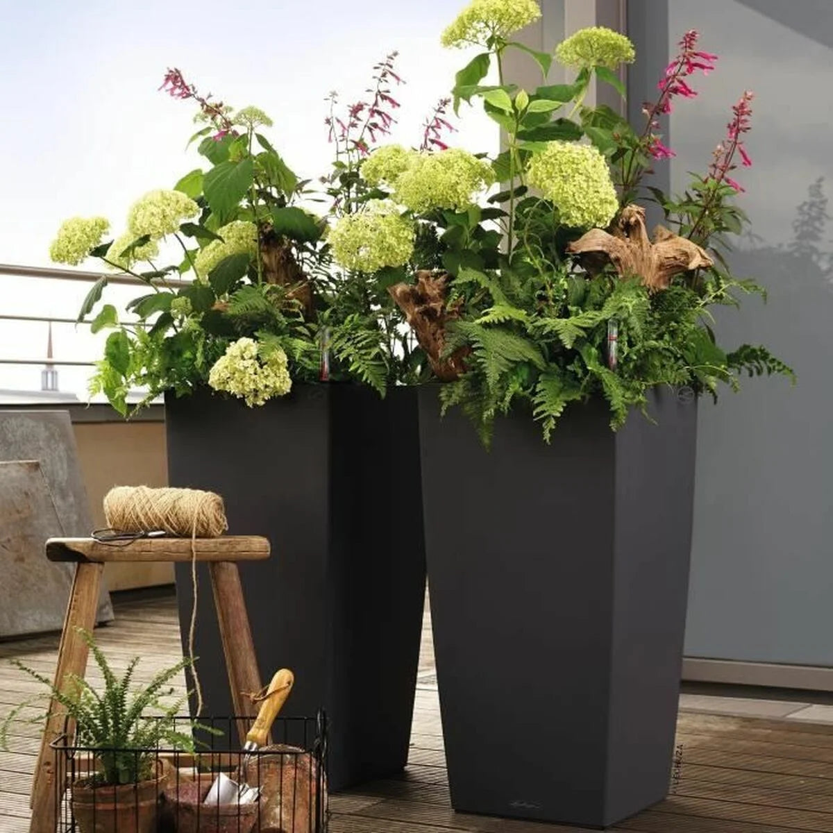 Pair of black square planters with leafy plants outdoors