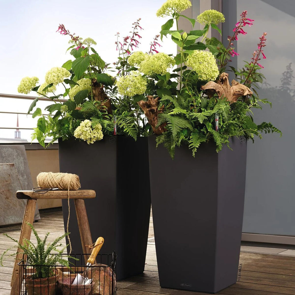 Set of black square planters with tall plants on outdoor patio