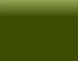 Olive green designer crossbody handbag in durable PU leather with a sleek zipper closure for stylish travel.