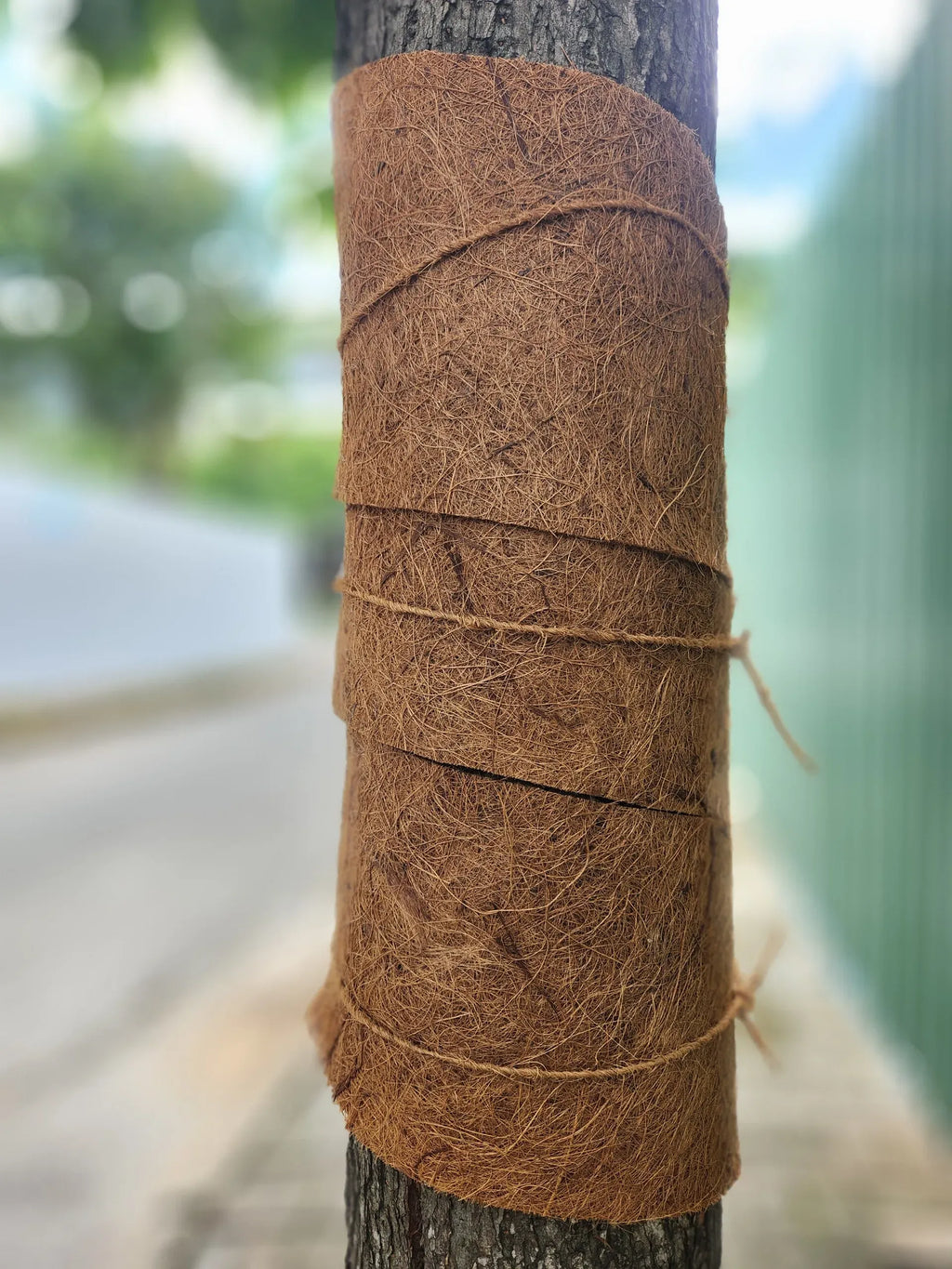 Rolled brown coir sheet tape bundle wrapped with twine