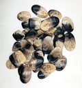 Oval cabochon gemstone assortment, glossy dark black and beige marbled teardrops