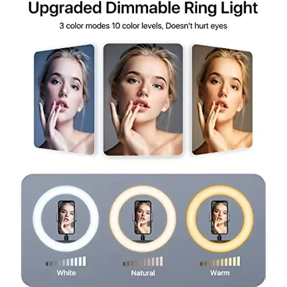 10 Inch LED Ring Light With 63 Inch Tripod Stand for Content Creators Tidesmit