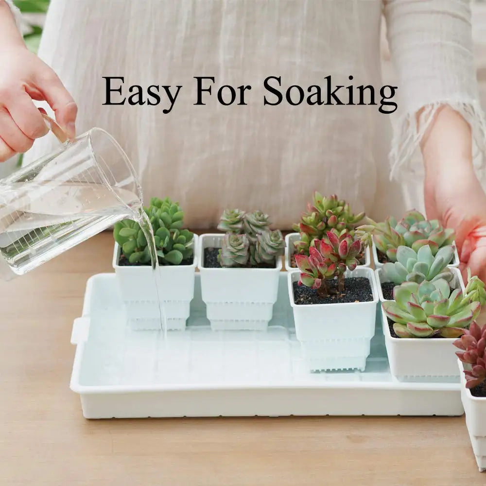 Meshpot 16-Pack Succulents Pots Plastic Flower Pot Plants Container Seedlings Nursery Supplies Home Decoration (Inner Dia. 6CM)
