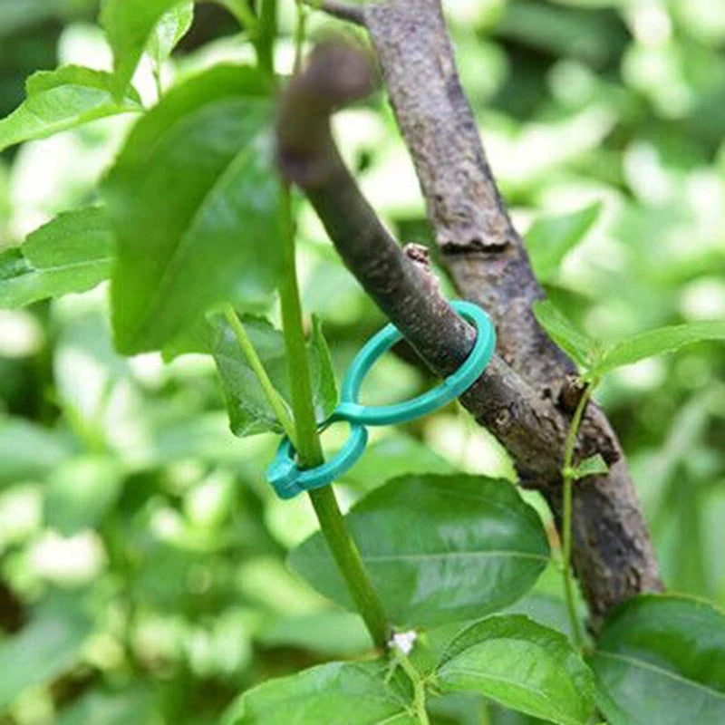 S/L 2 Size Garden Vine Strapping Clips Plant Bundled Buckle Ring Holder Tomato Garden Plant Stand Tool Garden Decor  Accessories