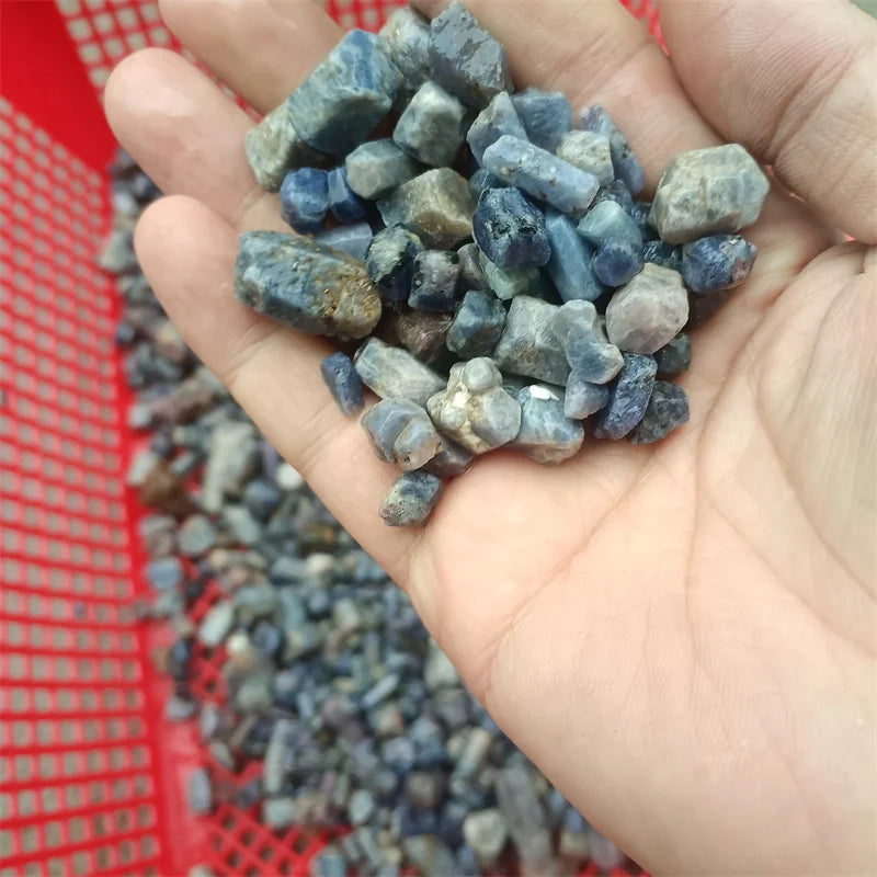 Hand holding a handful of rough blue sapphire crystal raw stones