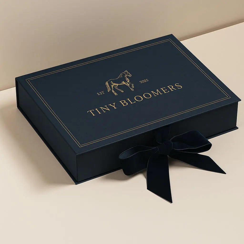 Customized Foldable Luxurious Black Gift Box Paper Box of Gift Mailer Box Cardboard Mailer Box