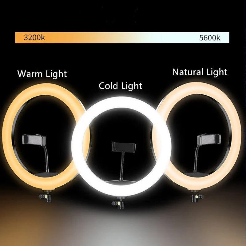 10-Inch LED Ring Light with Adjustable Tripod Stand for Content Creation Tidesmit