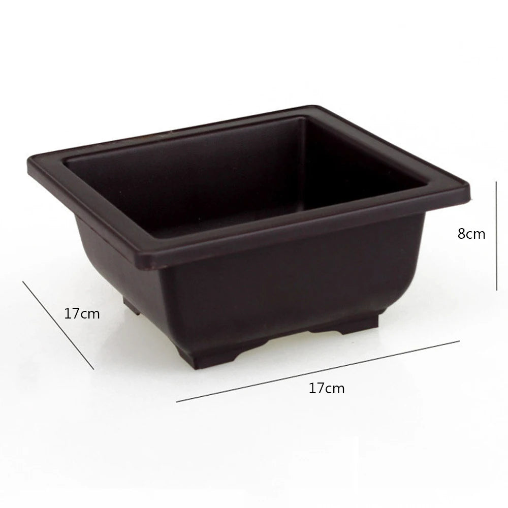 Square dark plastic planter pot with wide open top, shallower basin for succulents