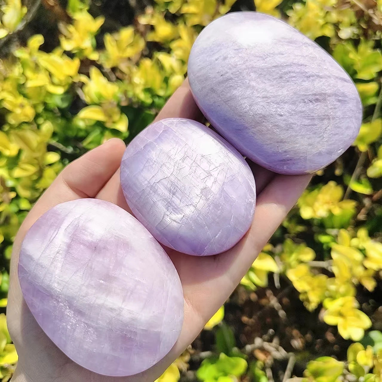 Kunzite Palm Pieces, Semi-precious Stones, Potted Landscaping Ornaments, Popular Science Minerals,About 6-8pcs/kg