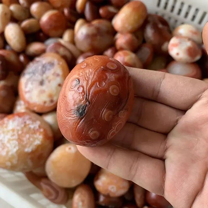 Wholesale Polished Natural Healing Crystals rare Gobi Agate Tibet Heaven Eye Stone Red Agate Palm Stone for Fengshui