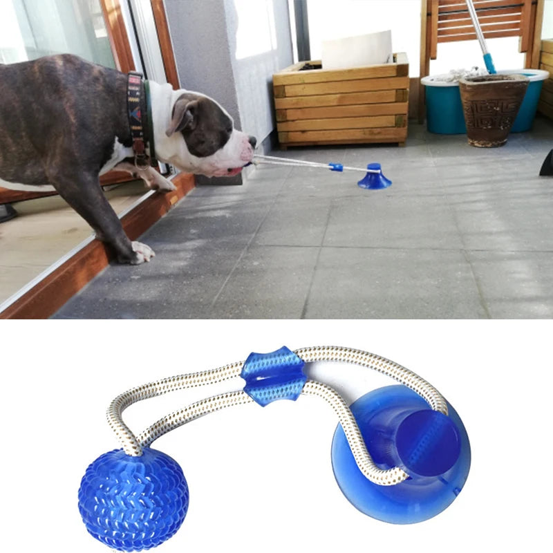 Blue TPR dog suction cup toy with rope and ball for interactive tug-of-war play and dental cleaning.