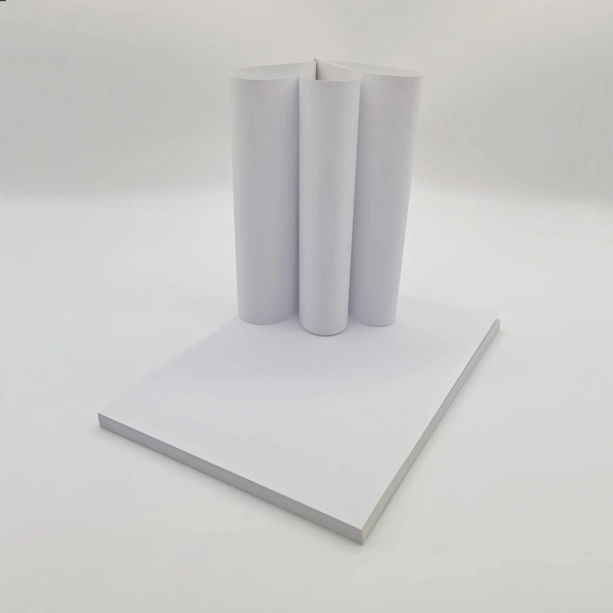 White A4 printable label sheets, rolled bundle and sheet