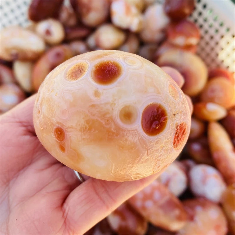Wholesale Natural Healing Crystals rare Gobi Agate Tibet Heaven Eye Stone Red Agate Palm Stone