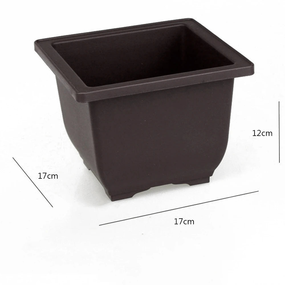 Square dark plastic planter pot with wide open top for succulents and nursery plants