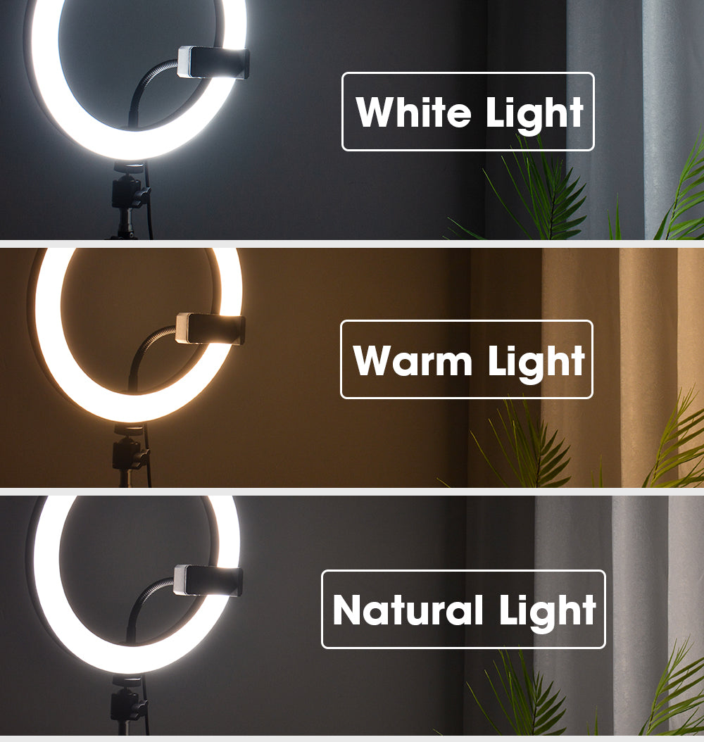 LED Ring Light with Tripod Stand for Live Streaming and Content Creation Tidesmit