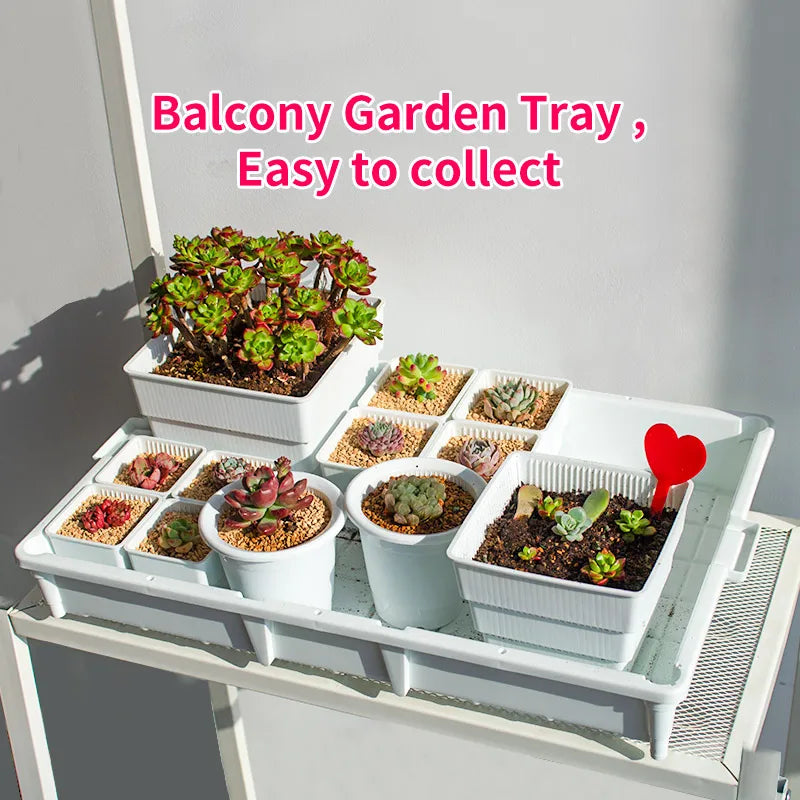 Meshpot Plastic Saucer Plant Tray Flower Pot Storage Rectangle Succulent Pot Tray  in Round Square Shaped for Home Decor
