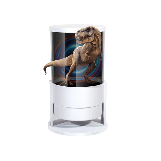 Bluetooth Speaker -Factory Direct Sales 360 ° 3D Naked Eye Type-C Hologram Equipment Bluetooth Speaker 3d Holographic Fan for Living Room