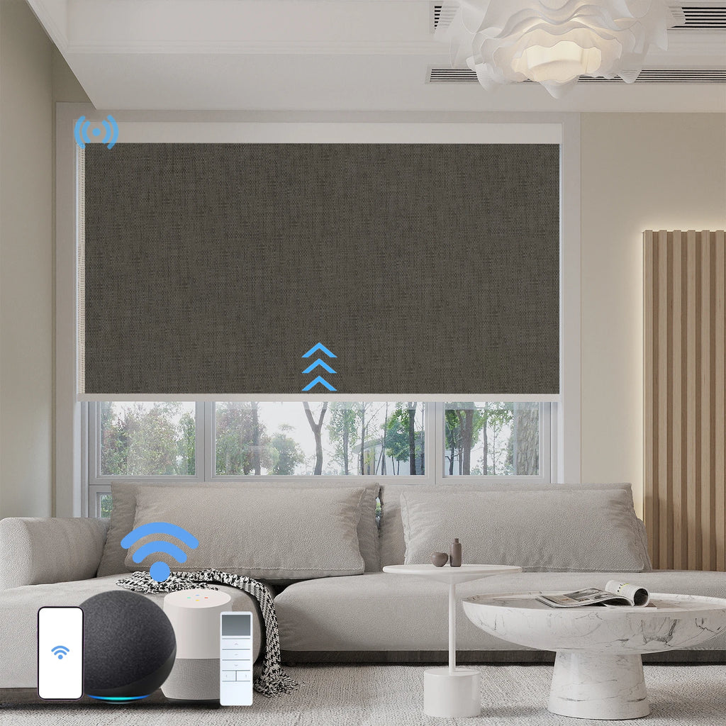 Wifi Tuya Smart Best Quality Motorized Zebra Blinds Blackout Indoor Horizontal Automatic Battery Powered zebra Blinds Tidesmit