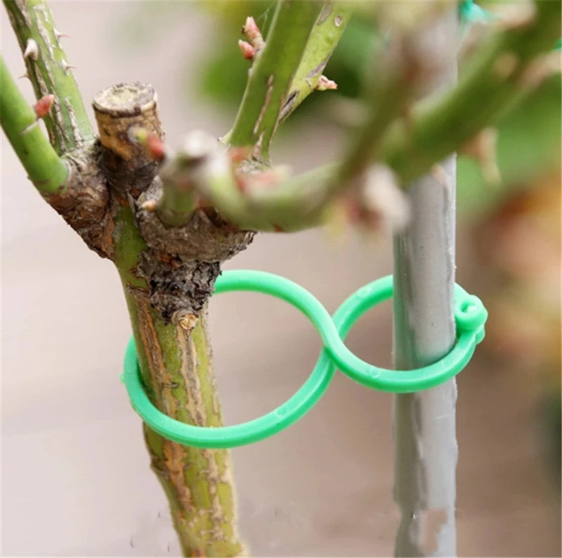 S/L 2 Size Garden Vine Strapping Clips Plant Bundled Buckle Ring Holder Tomato Garden Plant Stand Tool Garden Decor  Accessories