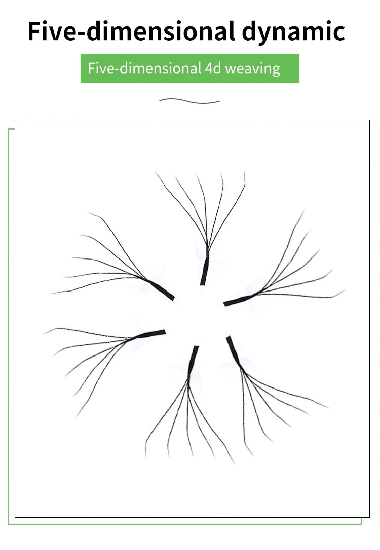 Five black 5D volume lash fans arranged in a circle, showcasing the fanned, lightweight design for lash extensions.