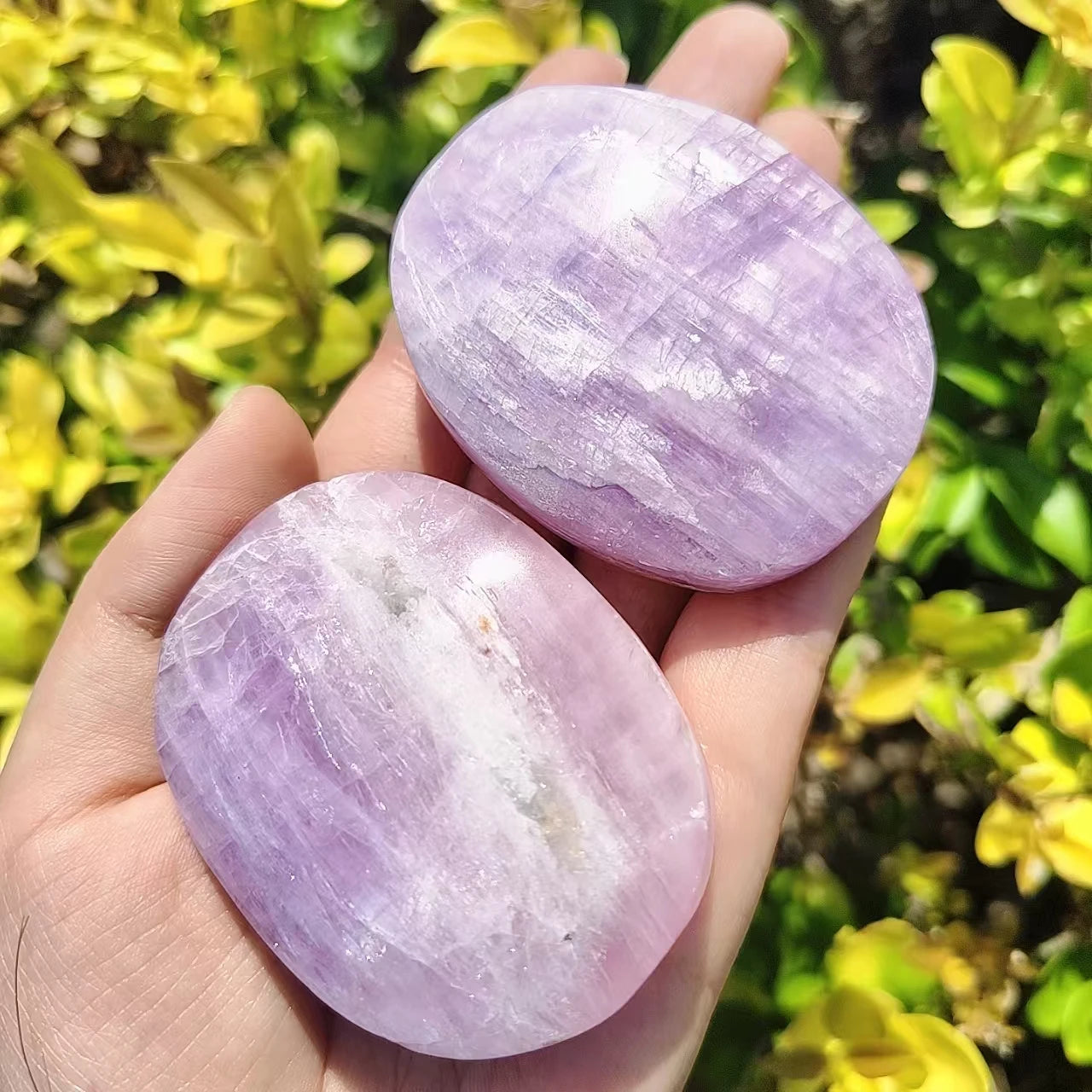 Kunzite Palm Pieces, Semi-precious Stones, Potted Landscaping Ornaments, Popular Science Minerals,About 6-8pcs/kg