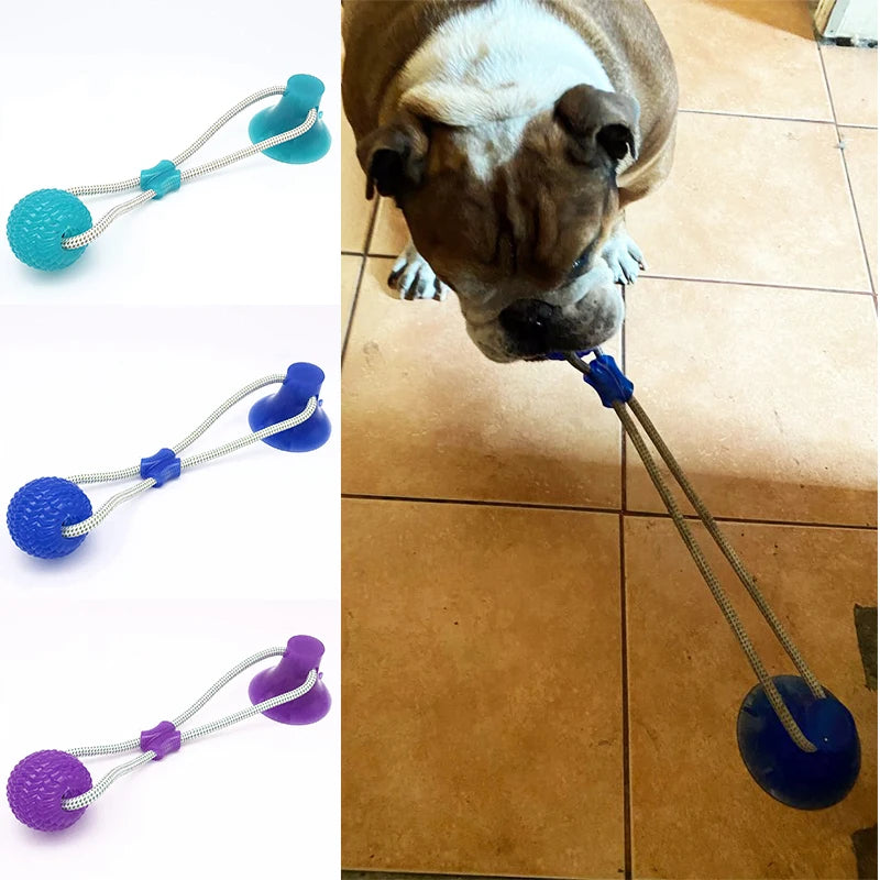Bulldog playing with an interactive TPR suction cup dog toy with rope for teeth cleaning and tug-of-war play.