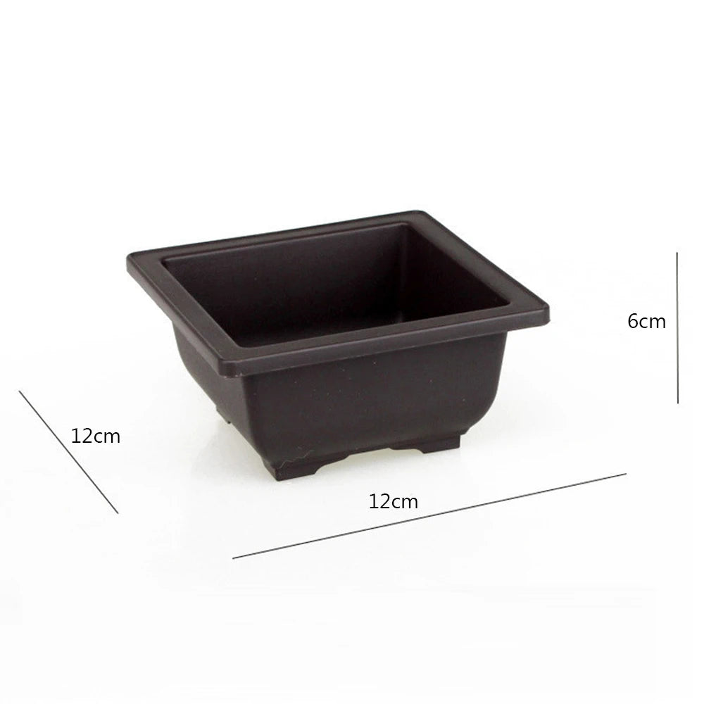 Black square plastic plant pot, 12cm wide, 6cm deep