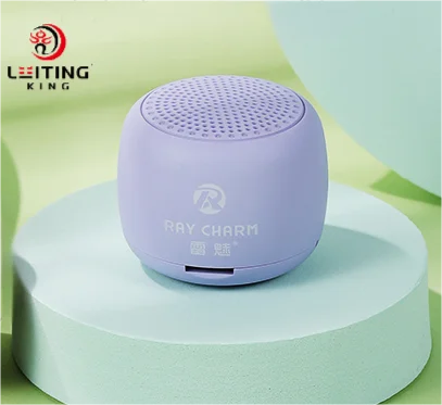 Bluetooth Speaker -LEITING KING RC-102 Lilac 2*25w High Quality Audio Player Mini Wireless Speakers Bluetooth Portable Outdoor Speaker