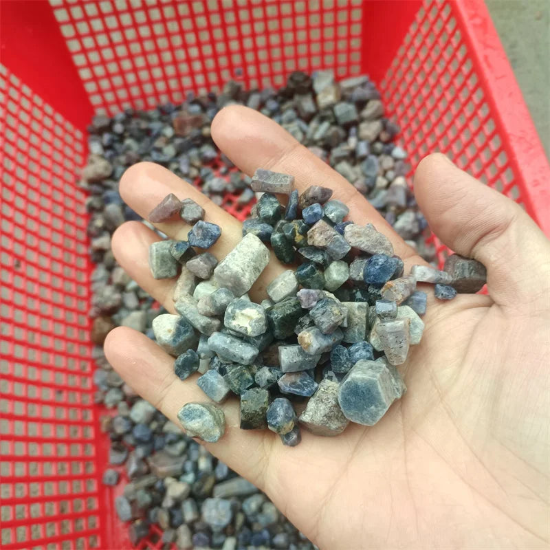 Hand holding mixed rough blue sapphire crystal raw gemstone pieces