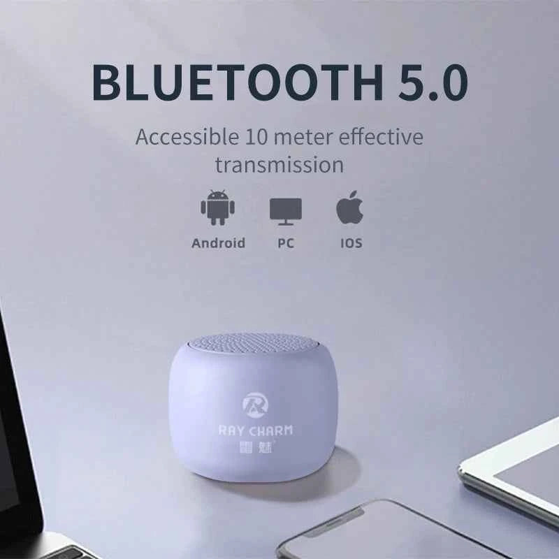 LEITING KING RC-102 Lilac 2*25w High Quality Audio Player Mini Wireless Speakers Bluetooth Portable Outdoor Speaker My Store