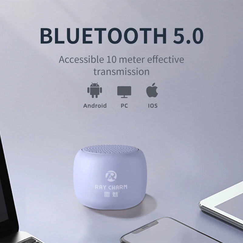 Bluetooth Speaker -LEITING KING RC-102 Lilac 2*25w High Quality Audio Player Mini Wireless Speakers Bluetooth Portable Outdoor Speaker