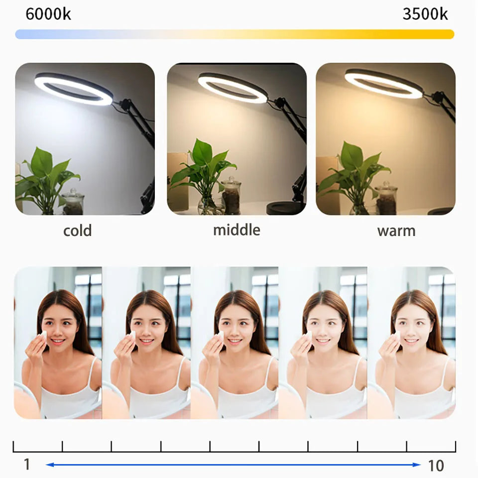 10 Inch LED Ring Light with Tripod Stand for Content Creation Tidesmit