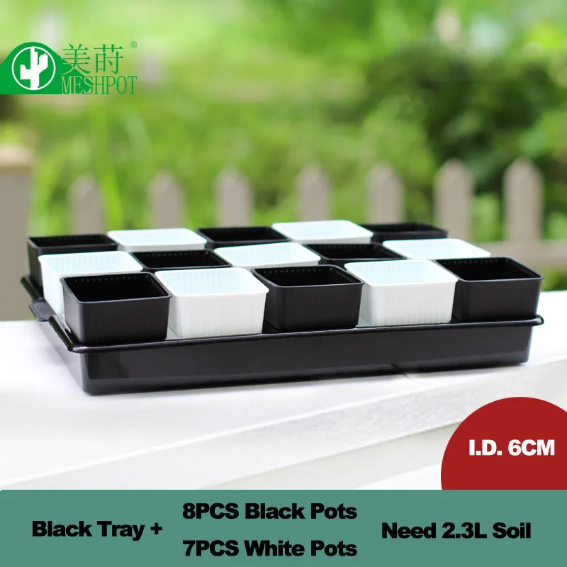 Plastic seedling pot set with mixed black and white square pots, black tray, 6cm ID