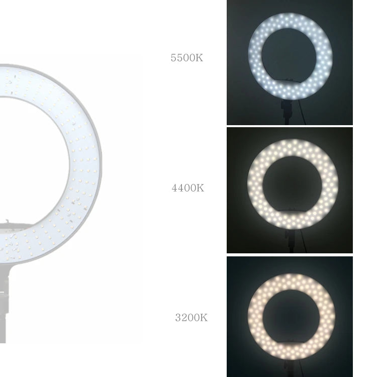 LED Ring Light for Makeup - Dimmable Bi-Color Studio Lamp with Tripod Tidesmit