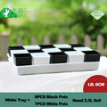 Meshpot 16-Pack Succulents Pots Plastic Flower Pot Plants Container Seedlings Nursery Supplies Home Decoration (Inner Dia. 6CM)