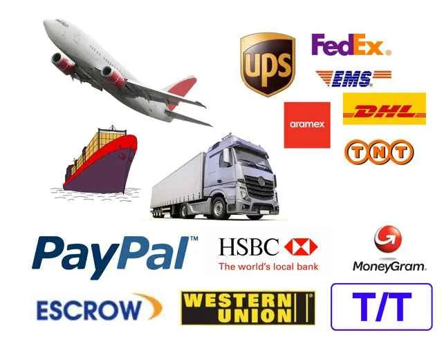 New C6 Active Wireless Speaker Mobile Phone Waterproof with Microphone MP3 Music BT Shower Speaker Support Tf Card My Store