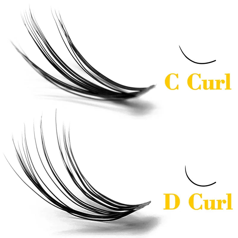 Black 20D Russian volume eyelash clusters comparing C curl and D curl styles on a white background.